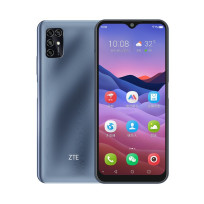 中兴 Blade V2020 Smart(孝心版/4GB/128GB/全网通)